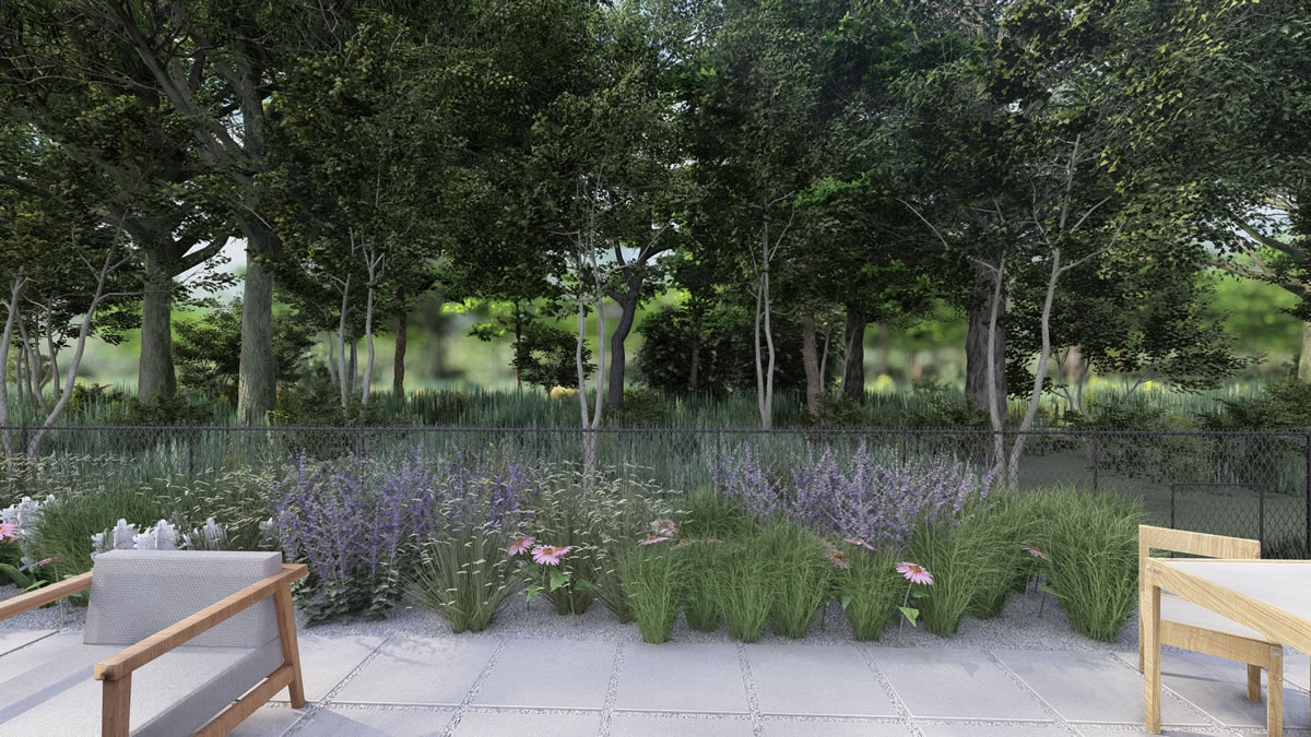 Ravine view from th emodern family backyard 3D landscape design