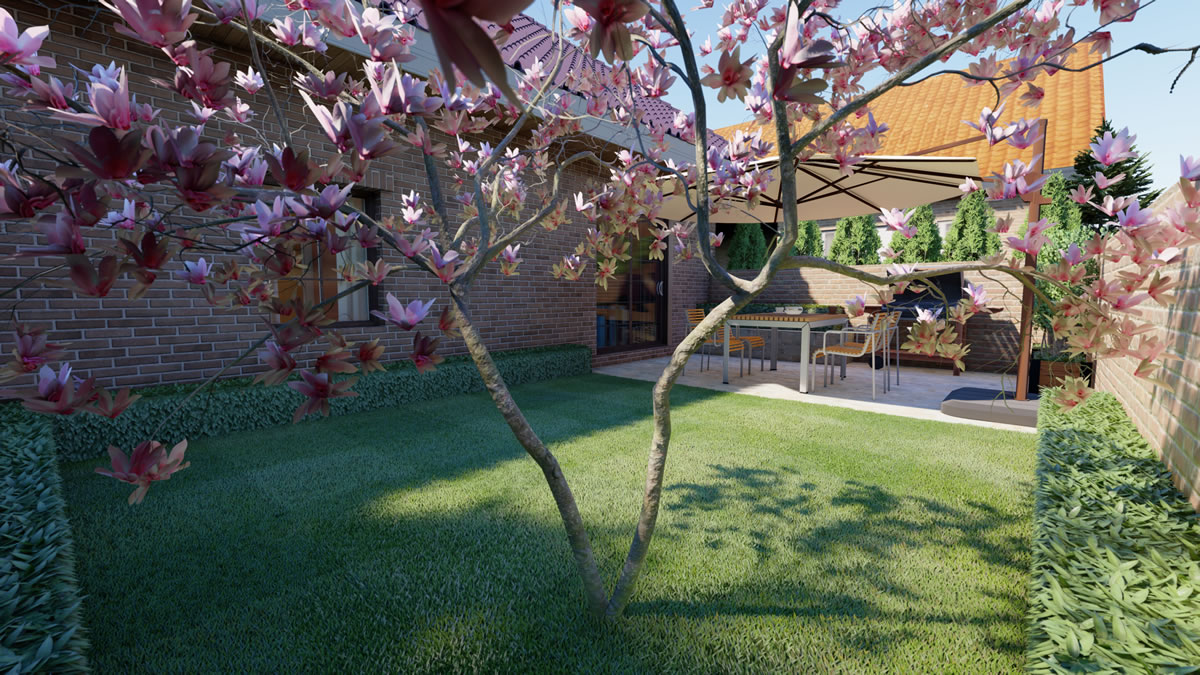 magnolia yard