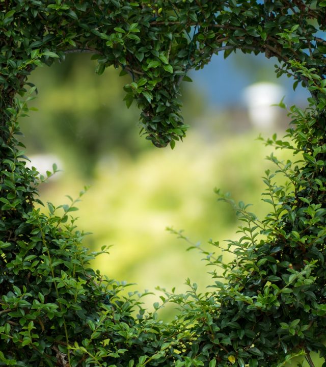 Best online 3D landscape design service Start your project OLD